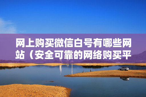网上购买微信白号有哪些网站（安全可靠的网络购买平台推荐）