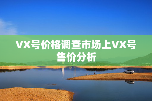 VX号价格调查市场上VX号售价分析