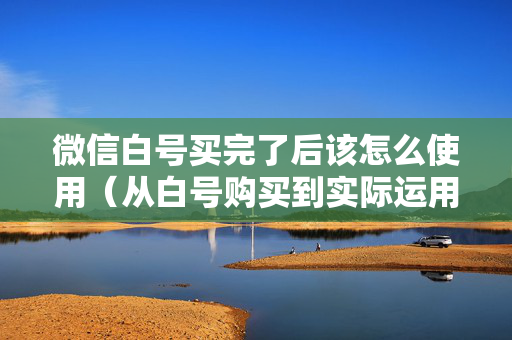 微信白号买完了后该怎么使用（从白号购买到实际运用指南）