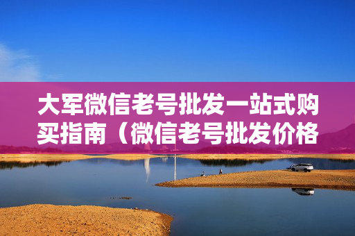 大军微信老号批发一站式购买指南（微信老号批发价格优势比较）