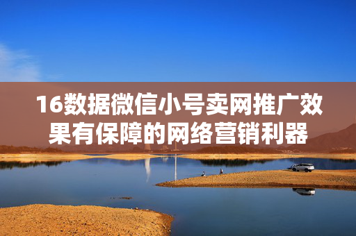 16数据微信小号卖网推广效果有保障的网络营销利器