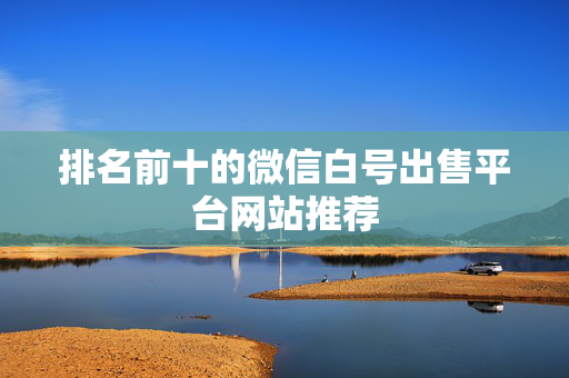 排名前十的微信白号出售平台网站推荐